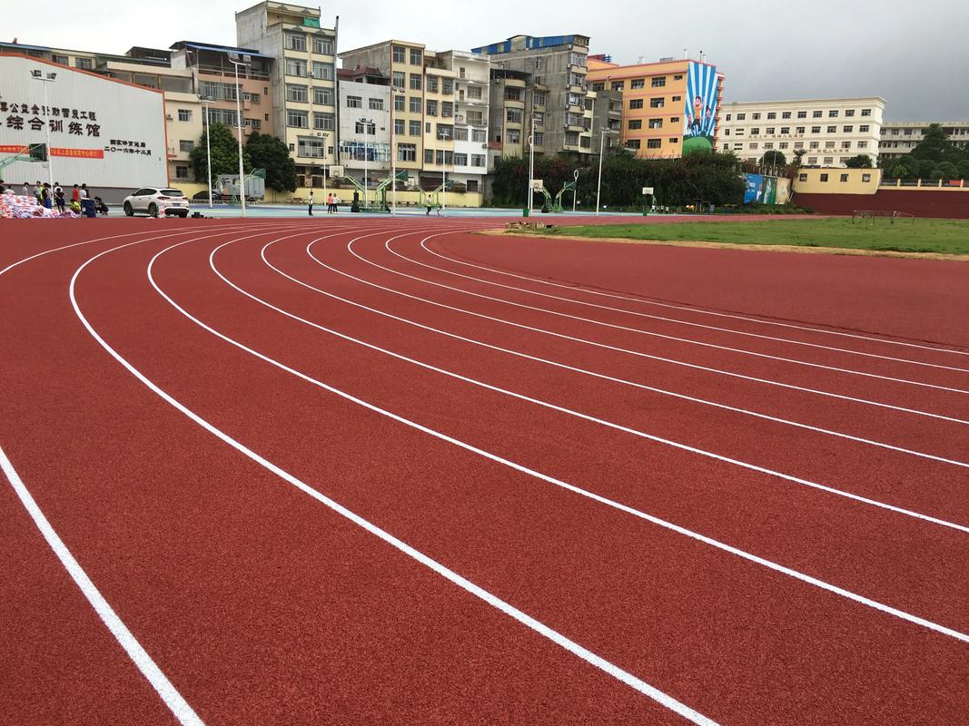 泰州市硅PU塑胶跑道材料 - 方案